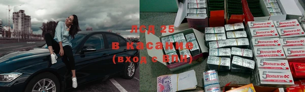 ПСИЛОЦИБИНОВЫЕ ГРИБЫ Дмитриев