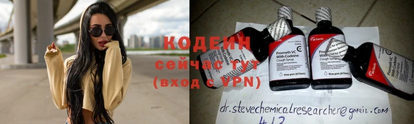 крисы Надым