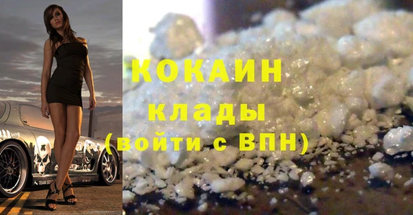 крисы Надым