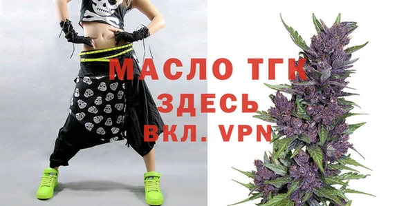крисы Надым