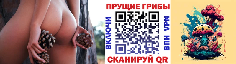 Галлюциногенные грибы мицелий  Куровское 